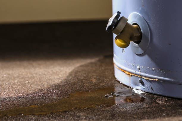 Best Mold removal after water damage  in Coldwater, MI