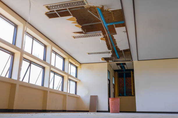 Best Mold removal after water damage  in Coldwater, MI