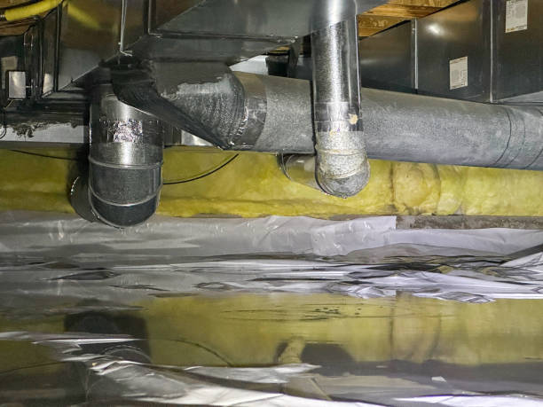 Best Water damage cleanup near me  in Coldwater, MI